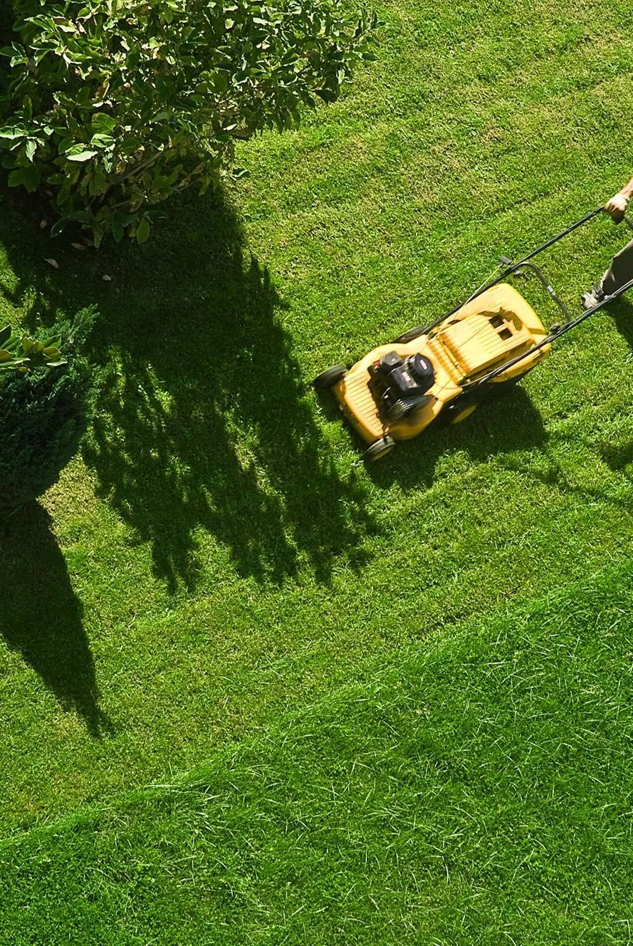 A fresh cut — lawn and landscape photo