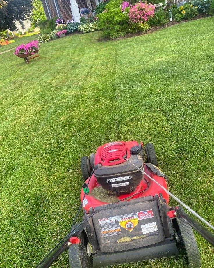 Every edge considered — lawn and landscape photo