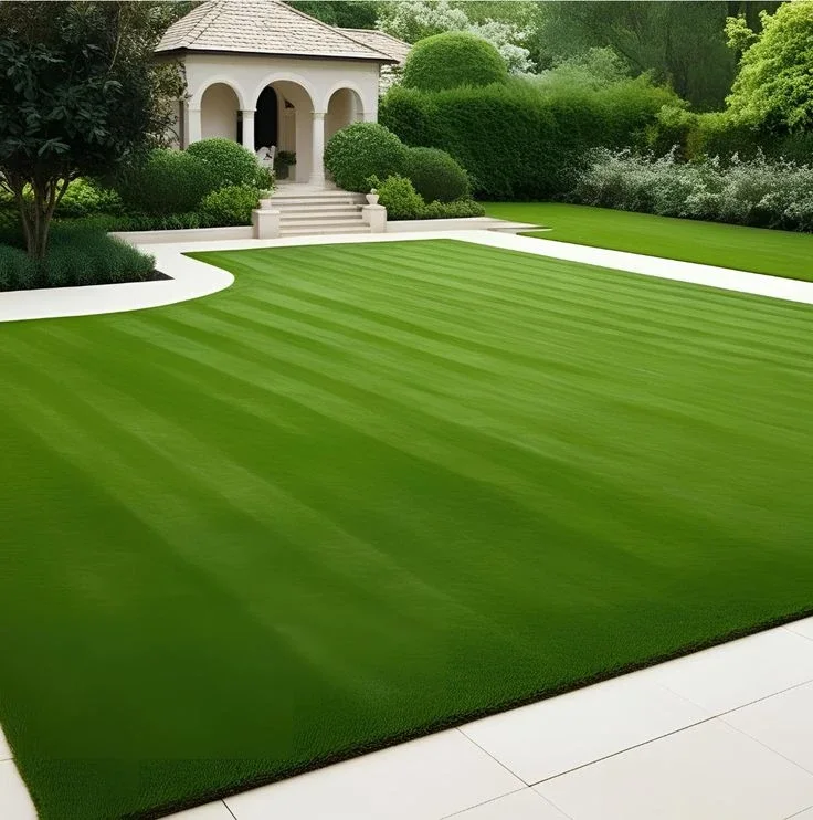 Crisp curves beside the garden path — lawn and landscape photo