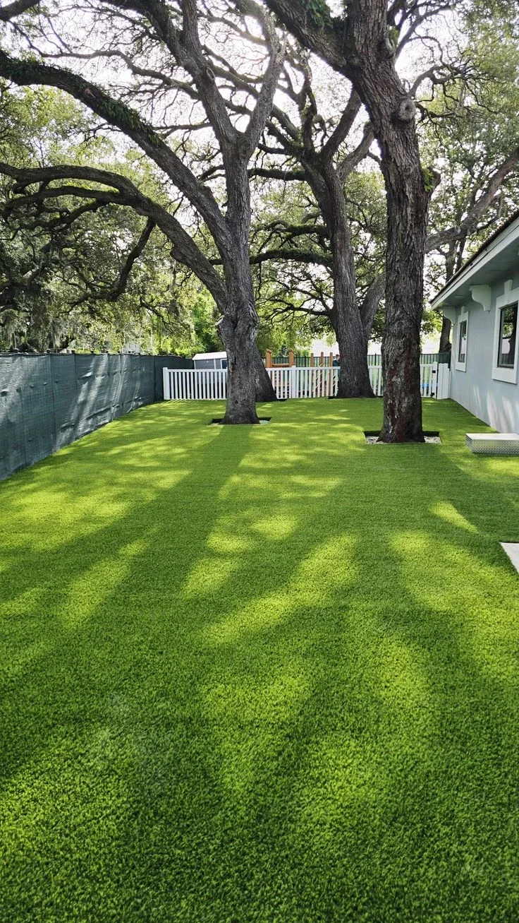 Lawn beneath mature oaks — lawn and landscape photo