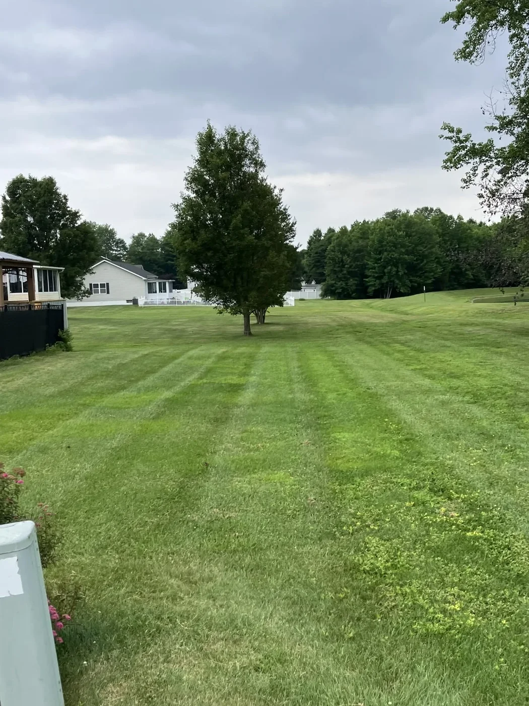 A large open lawn, striped and tidy — lawn and landscape photo